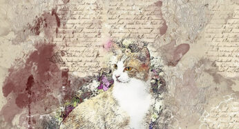 O menino que desenhava gatos